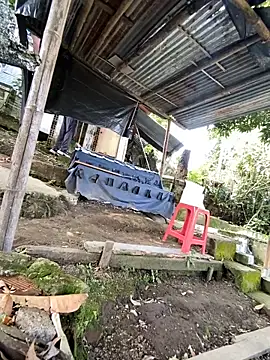 Jestebanano online show from 05.28.26