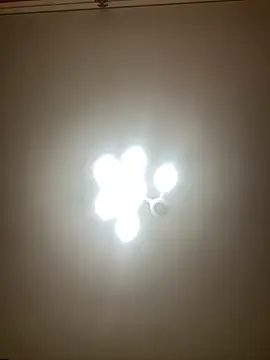 Snapshot of Janet_Welder chatting on 12.02.24 Janet Welder online show from 12.02.24