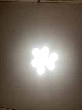 Snapshot of Janet_Welder chatting on 12.10.24 Janet Welder online show from 12.10.24