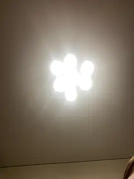 Snapshot of Janet_Welder chatting on 12.16.24 Janet Welder online show from 12.16.24