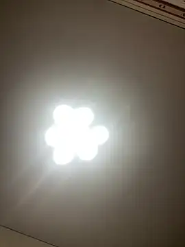 Snapshot of Janet_Welder chatting on 12.19.24 Janet Welder online show from 12.19.24