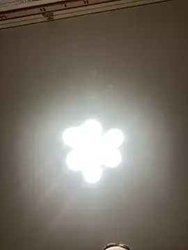 Snapshot of Janet_Welder chatting on 12.20.24 Janet Welder online show from 12.20.24