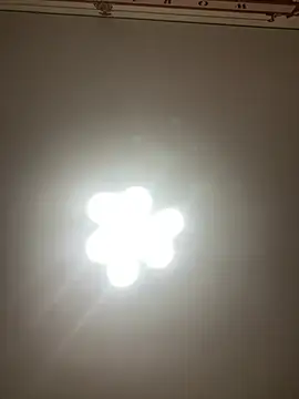 Snapshot of Janet_Welder chatting on 12.20.24 Janet Welder online show from 12.20.24