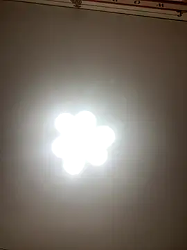 Janet Welder online show from 12.01.25