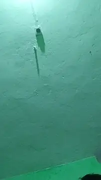 Snapshot of RADHAHO chatting on 10.09.25 RADHAHO online show from 10.09.25