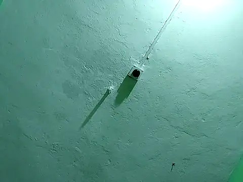 Snapshot of RADHAHO chatting on 11.02.25 RADHAHO online show from 11.02.25