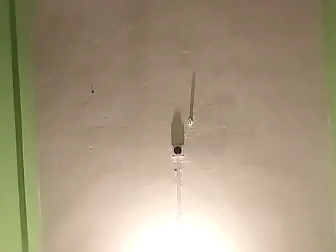 Snapshot of RADHAHO chatting on 11.04.25 RADHAHO online show from 11.04.25