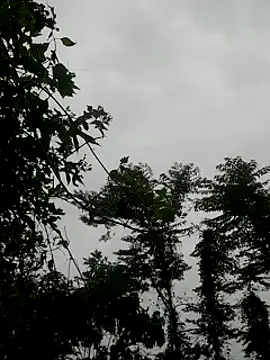 kumaricapalsex2 online show from 01.27.25