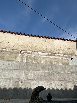 Leo bunny hot online show from 09.18.25