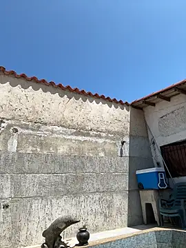 Leo bunny hot online show from 09.27.25