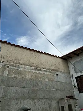 Leo bunny hot online show from 10.05.25