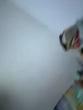 SweetBonniie online show from 11.03.25