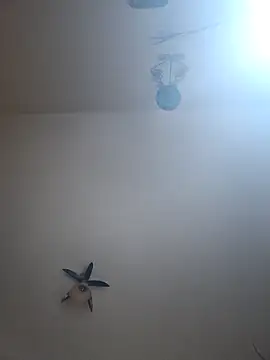 vulpe8400 online show from 04.07.26