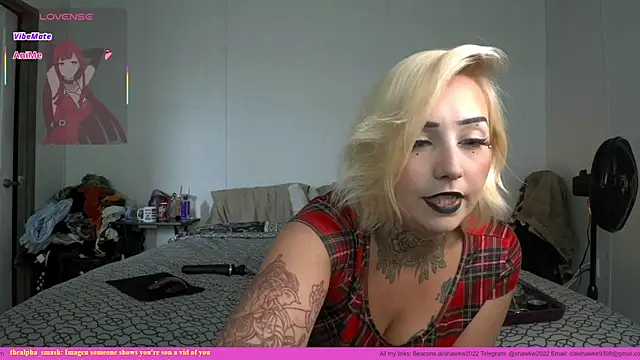 Snapshot of shawkw2022 chatting on 06.17.26 shawkw2022 online show from 06.17.26