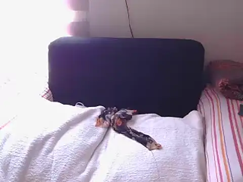 Snapshot of Mollybrookexx chatting on 12.11.24 Mollybrookexx online show from 12.11.24