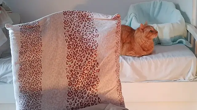 Snapshot of VeneRed chatting on 02.12.25 VeneRed online show from 02.12.25