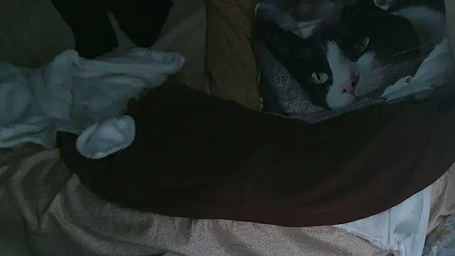 Snapshot of VeneRed chatting on 10.10.25 VeneRed online show from 10.10.25