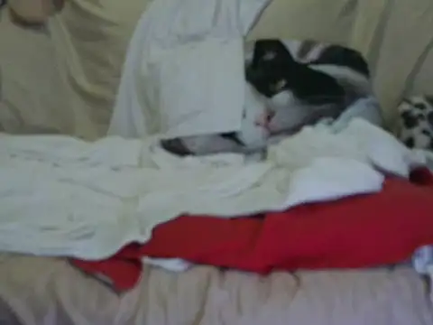 Snapshot of VeneRed chatting on 10.17.25 VeneRed online show from 10.17.25