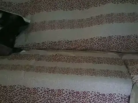 VeneRed online show from 04.17.26