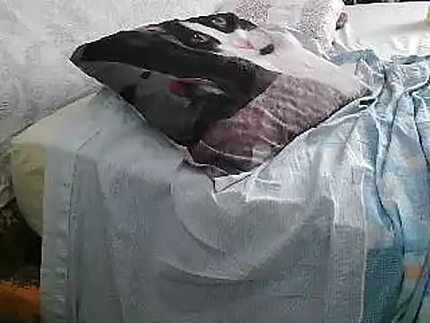 Snapshot of VeneRed chatting on 06.26.26 VeneRed online show from 06.26.26