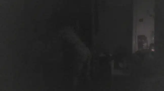 Just Gabriella online show from 03.17.25