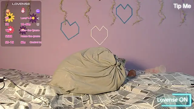 Dante Bear  online show from 02.13.26