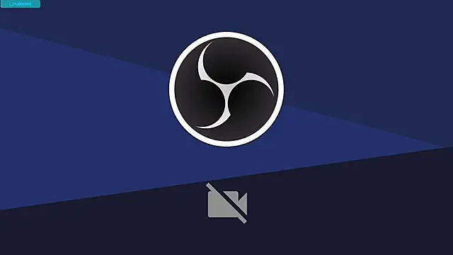 Snapshot of EdlinAlliston chatting on 01.27.25 EdlinAlliston online show from 01.27.25