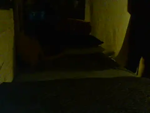 Gman143187 online show from 02.02.25