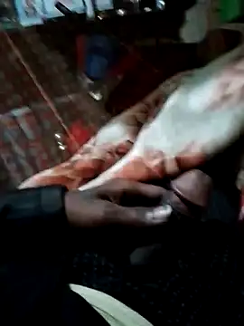 Snapshot of Antor1234 chatting on 12.15.24 Antor1234 online show from 12.15.24