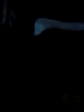 Snapshot of Antor1234 chatting on 02.23.25 Antor1234 online show from 02.23.25