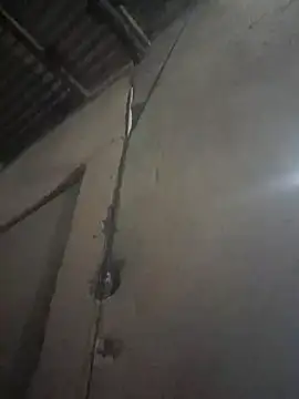 blackjackvv online show from 12.29.24