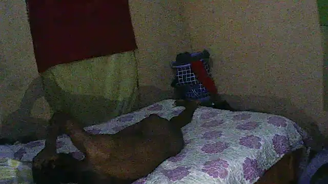 blackjackvv online show from 02.11.25