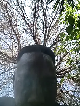 blackjackvv online show from 09.16.25