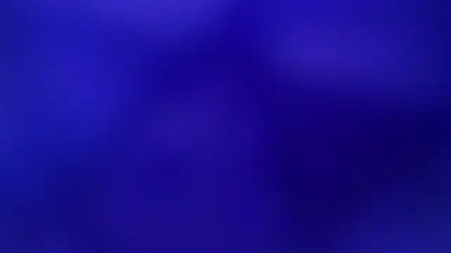 mia becke online show from 01.09.25