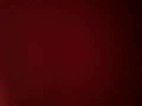 Snapshot of Jan_berger chatting on 03.20.25 Jan berger online show from 03.20.25