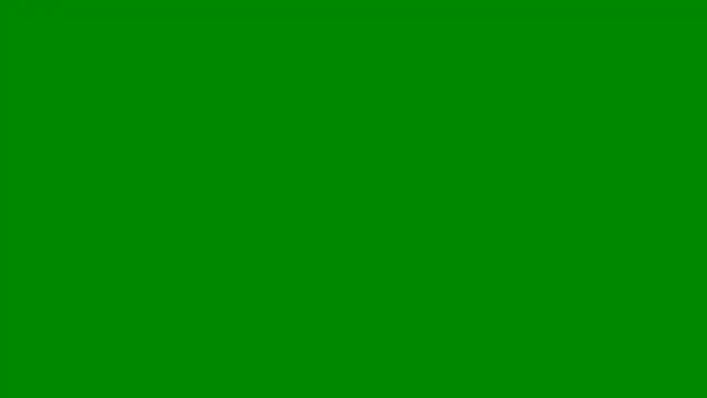 pettergrey1 online show from 07.26.26