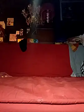 Snapshot of justiacoob chatting on 11.19.25 justiacoob online show from 11.19.25