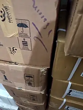 nupa230780 online show from 12.21.25