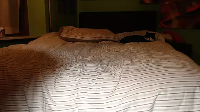 MASTERBULLY online show from 02.19.25