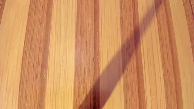 Taylor  cooper online show from 12.16.25