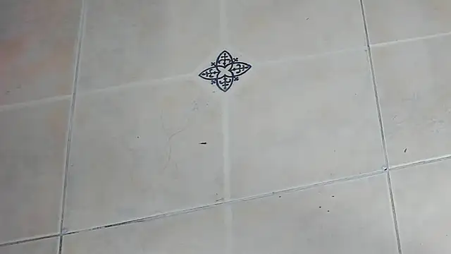 playsgirlhot online show from 02.03.26