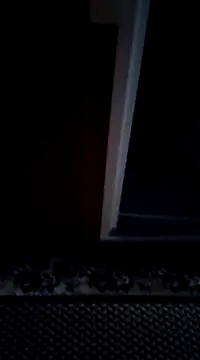 mortikoplqs online show from 12.29.24