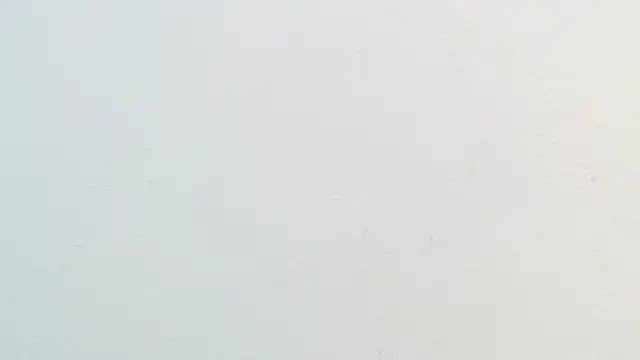 amaranta f00x online show from 11.22.25