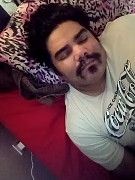 Brickstash online show from 02.08.26