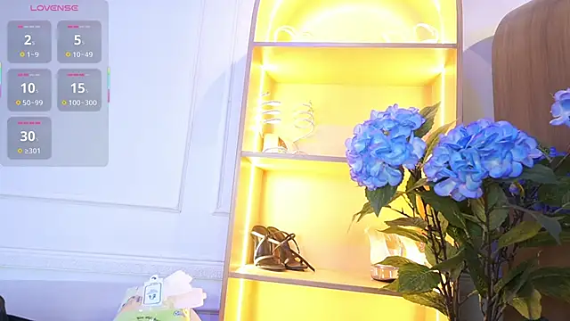 elasummer online show from 11.13.25