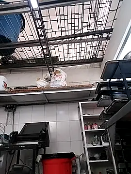 EMILY ROUSSE71 online show from 10.14.25