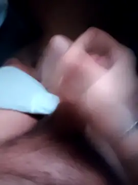 gatocamsp online show from 03.29.26