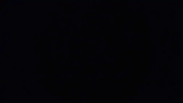 Raiye online show from 01.24.25