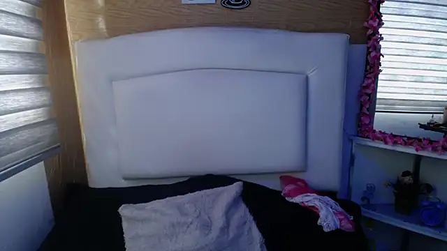 Snapshot of palmer_mIix chatting on 12.19.24 palmer mIix online show from 12.19.24