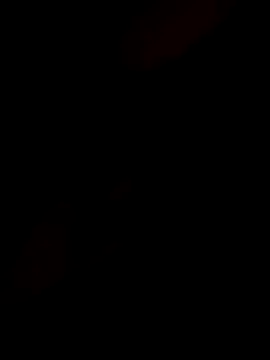 Snapshot of InnocentSupply4 chatting on 11.08.25 InnocentSupply4 online show from 11.08.25